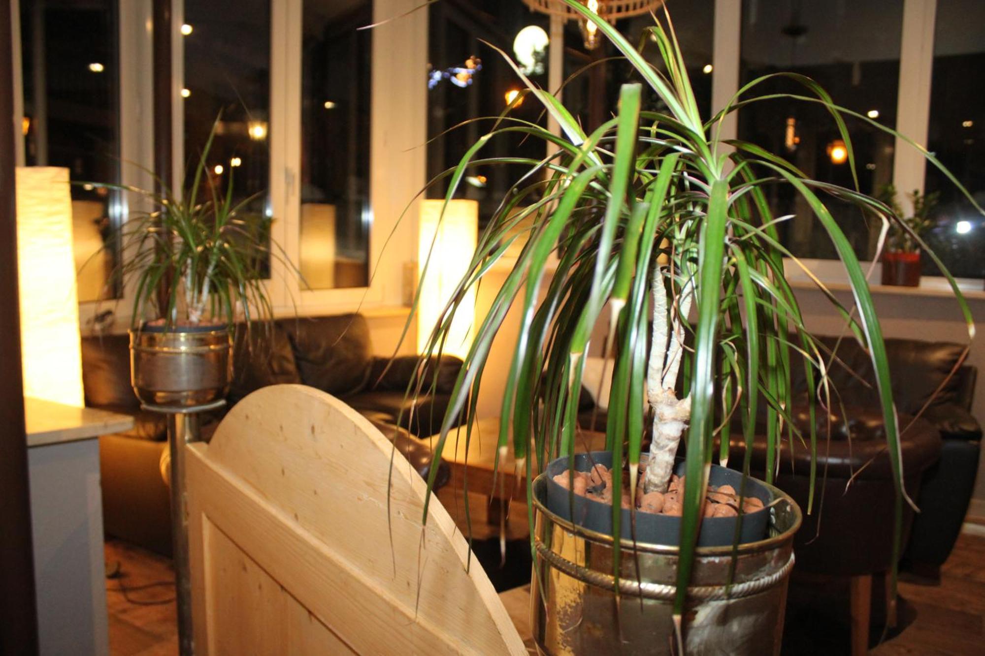 Grichting Hotel & Serviced Apartments Loèche-les-Bains Extérieur photo